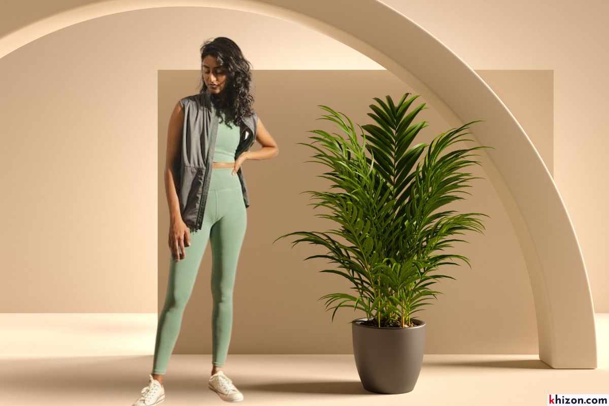 Athleisure Wear Essentials