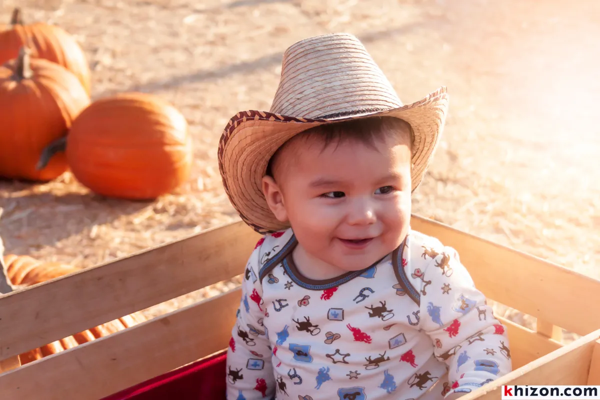 Cowboy Hat